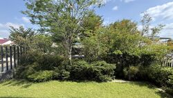 Seaside Park (D15), Semi-Detached #600859341